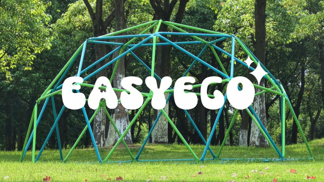 Amazon.com: Easyego Climbing Dome, 10FT Jungle Gym with Swing for